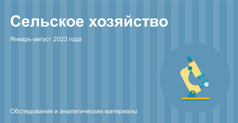 Сельское хозяйство в Алтайском крае. Январь-август 2023 года